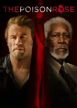 Bông Hồng Chết Người Bông Hồng Chết Người