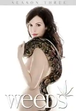 Cần Sa (Phần 3) Cần Sa (Phần 3)