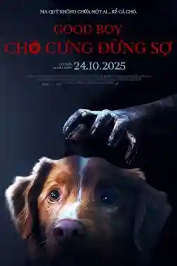 Chó Cưng Đừng Sợ