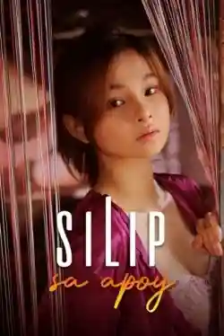 Cô Nội Trợ Đa Tình