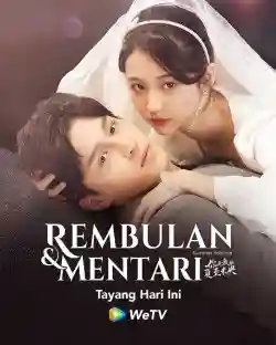 Em Là Hạ Chí Chưa Tới