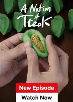 Hàn Quốc: Xứ Sở Bánh Tteok