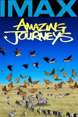 Hành Trình Kinh Ngạc