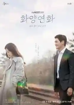 Khi Tình Yêu Nở Rộ