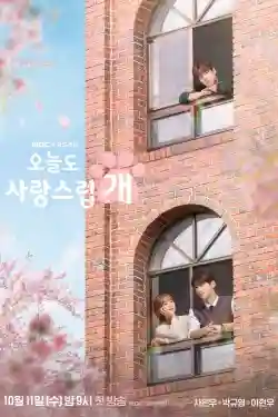 Ngày Tuyệt Vời Để Trở Thành Cún Ngày Tuyệt Vời Để Trở Thành Cún