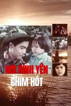Nơi Bình Yên Chim Hót Nơi Bình Yên Chim Hót