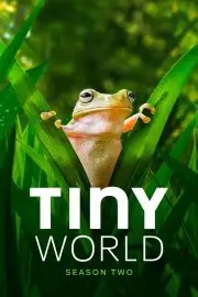 Thế Giới Siêu Nhỏ (Phần 2)