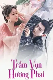 Trầm Vụn Hương Phai